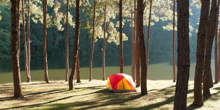 Tips for cheap and cheerful camping