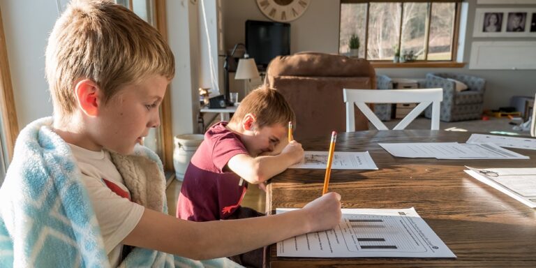 What type of homeschooler is your child?