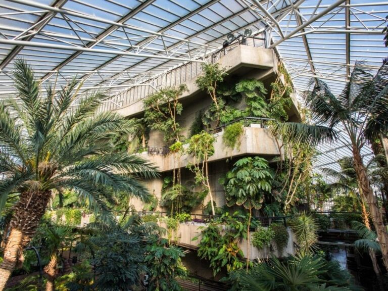 Visit the second biggest conservatory in London