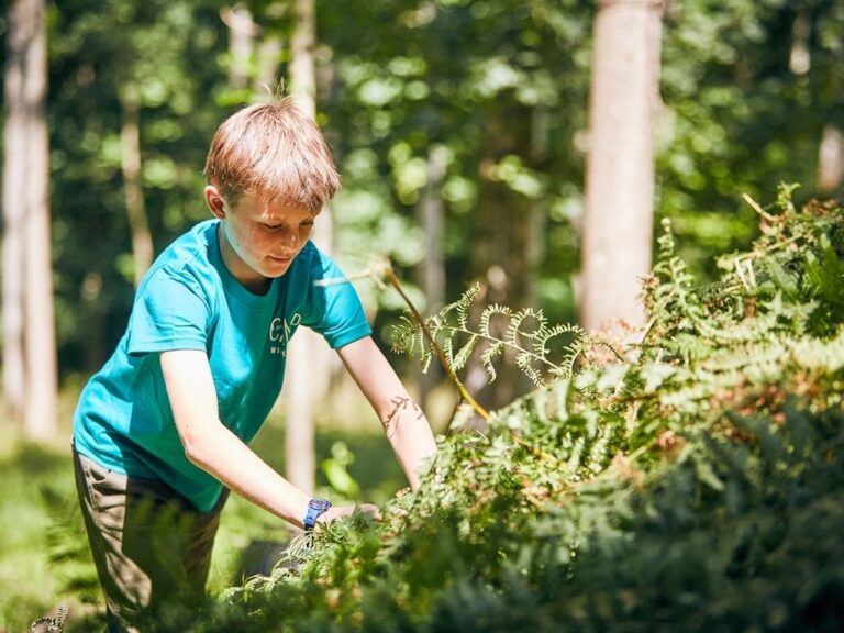 Re-wild your child this summer with wilderness weekends across the UK