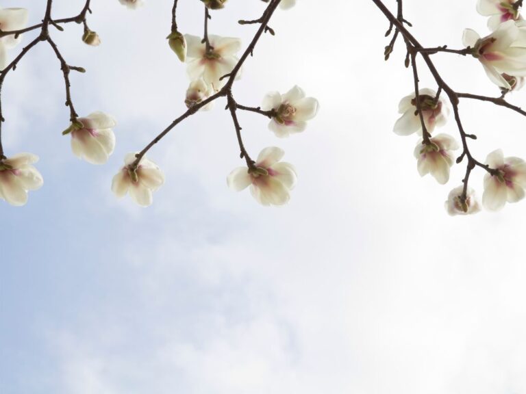 Brighter Days Ahead: Embracing the Change with Your Family