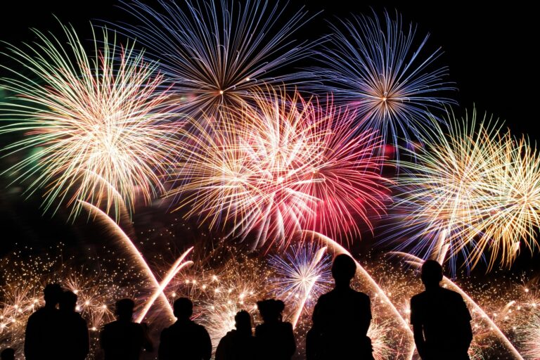 Family watching fireworks at night