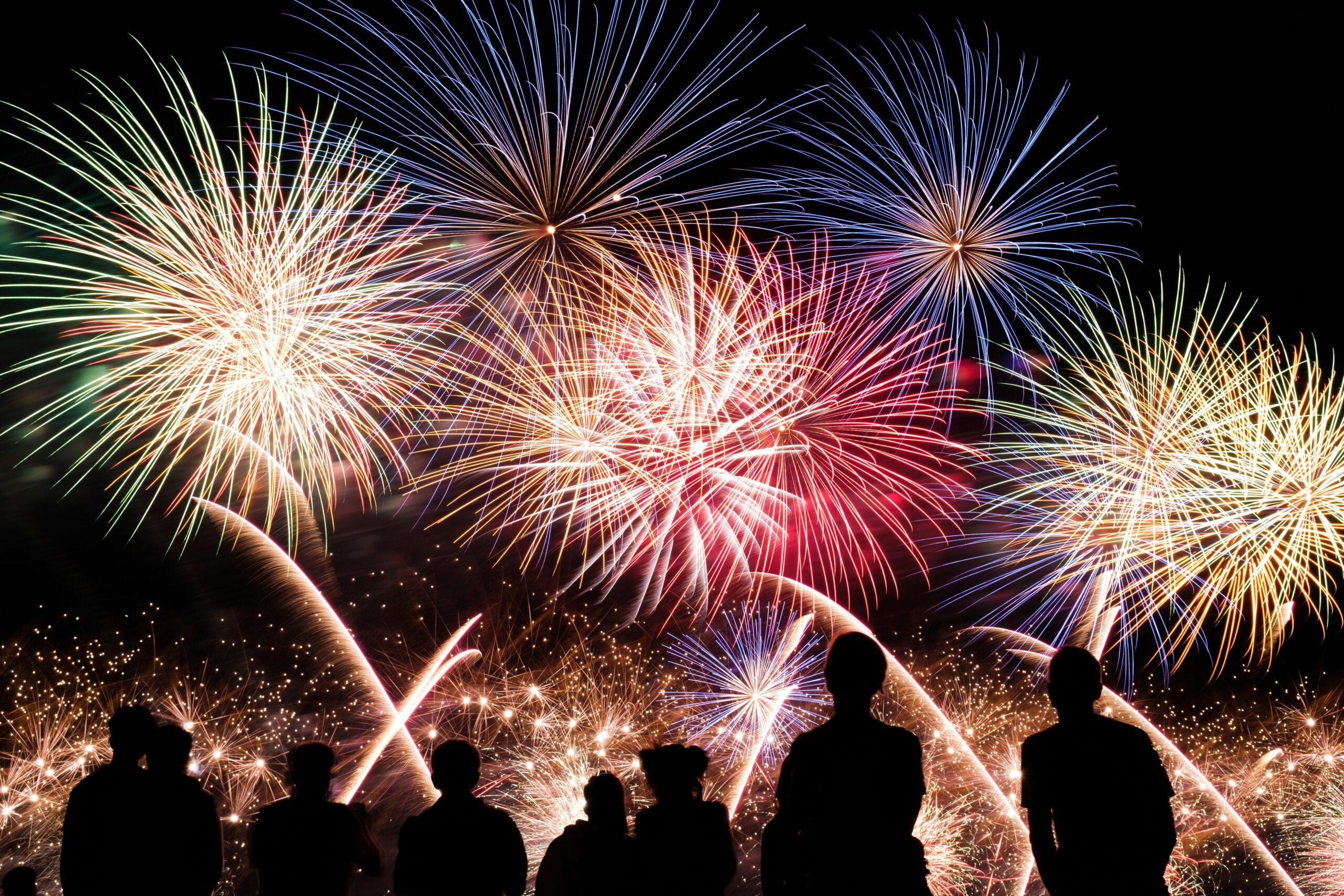 Family watching fireworks at night