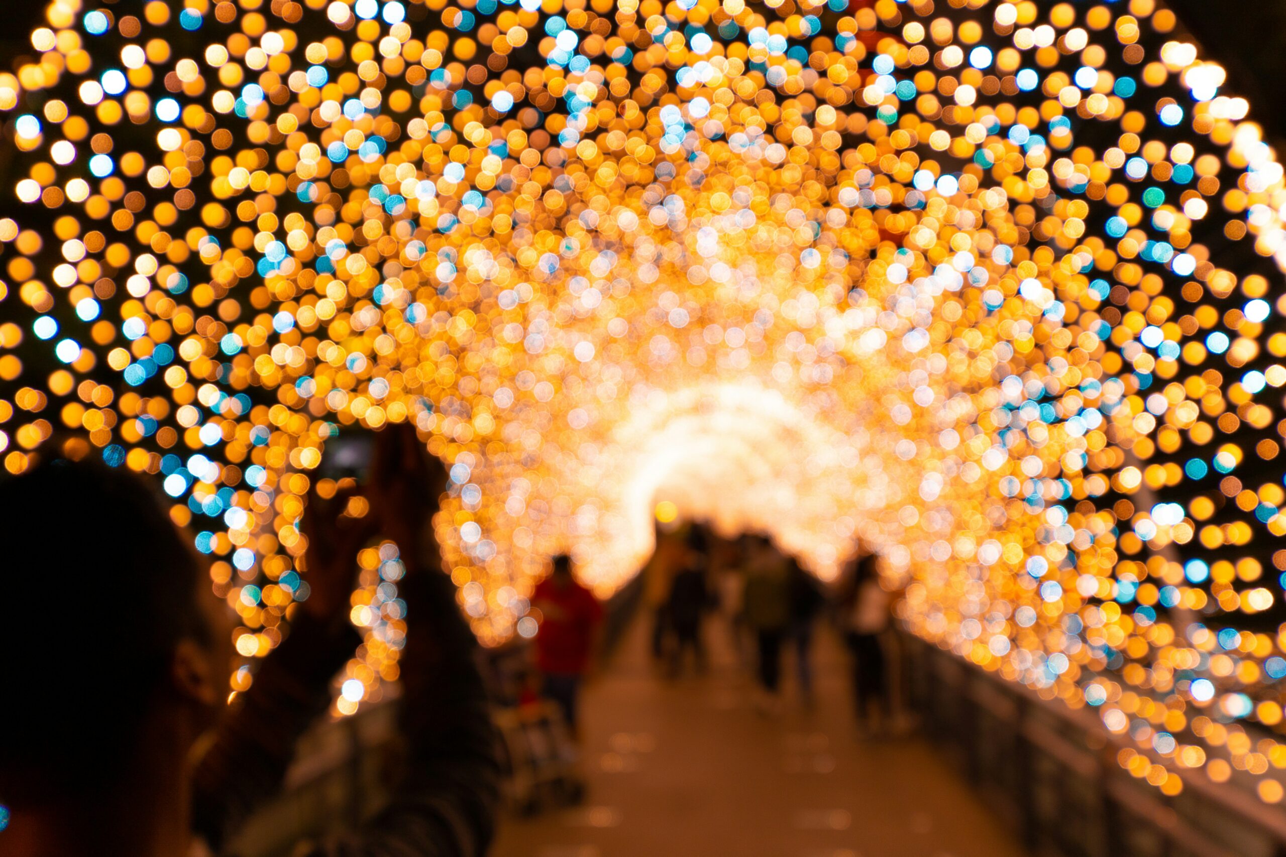 Family walking through a Christmas light trail at night