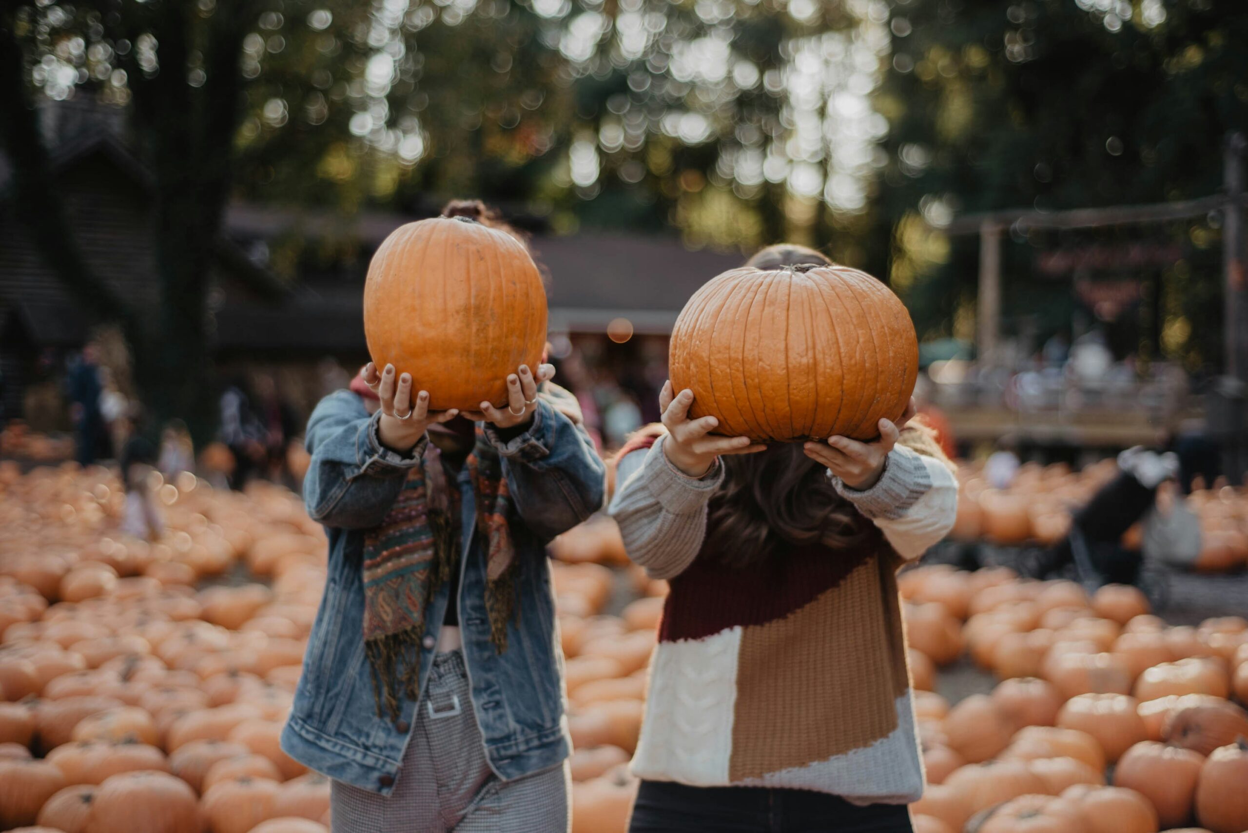 Child holding a pumpkin at a pumpkin patch in Hertfordshire